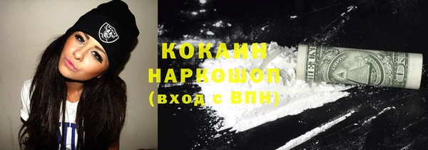 прущие грибы Баксан