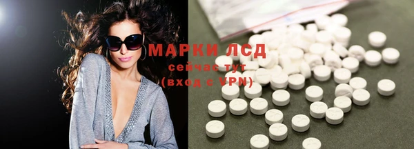 прущие грибы Баксан