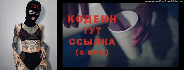 прущие грибы Баксан