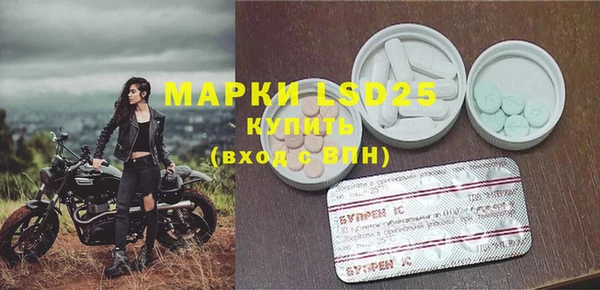 прущие грибы Балахна