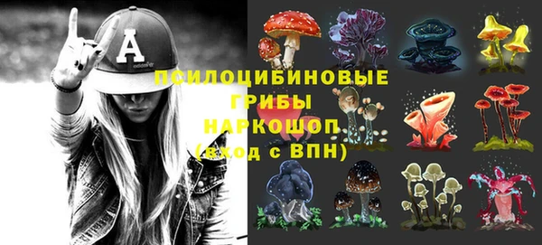 прущие грибы Балахна