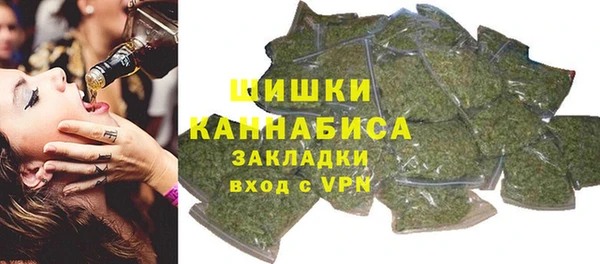 прущие грибы Баксан