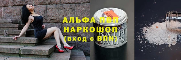 прущие грибы Балахна