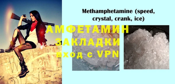 прущие грибы Баксан