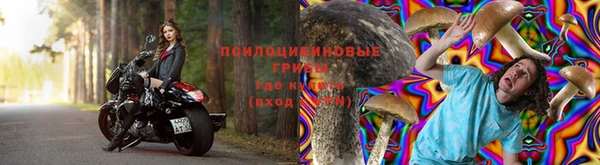 прущие грибы Балахна