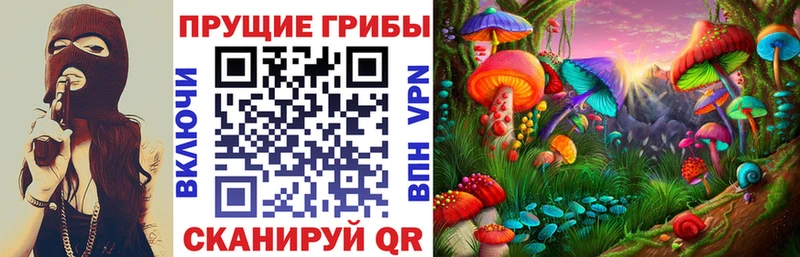 kraken ссылки  где продают   Нелидово  Псилоцибиновые грибы Psilocybe 